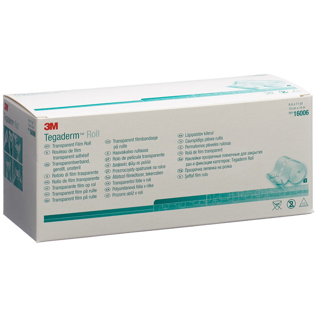 Article Image 7773357