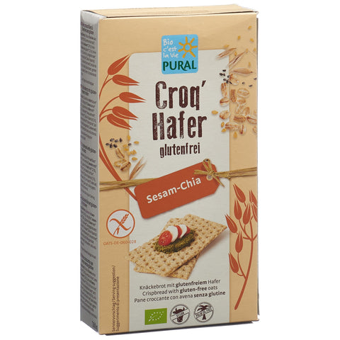 Article Image 7782765