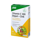 Article Image 1111736