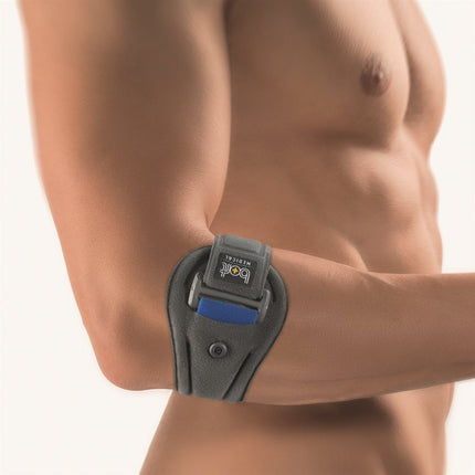 Article Image 3054700