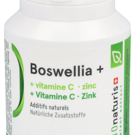 Spinner Image 1125214