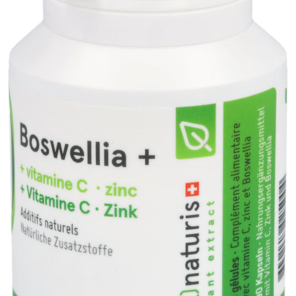 Spinner Image 1125214