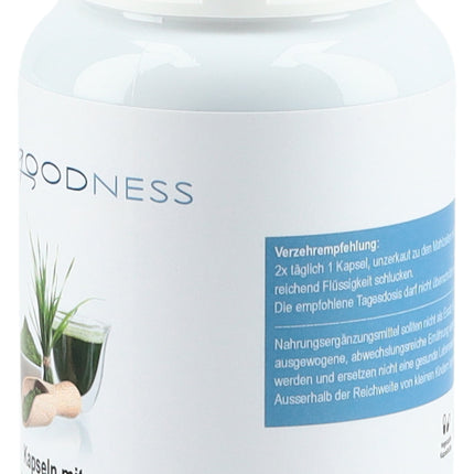 Spinner Image 7773466