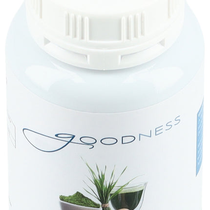 Spinner Image 7773466