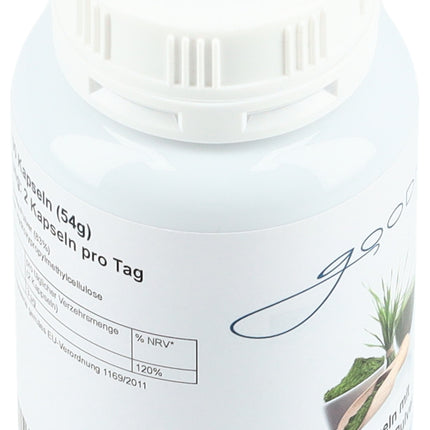 Spinner Image 7773466