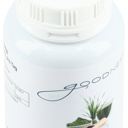 Spinner Image 7773466