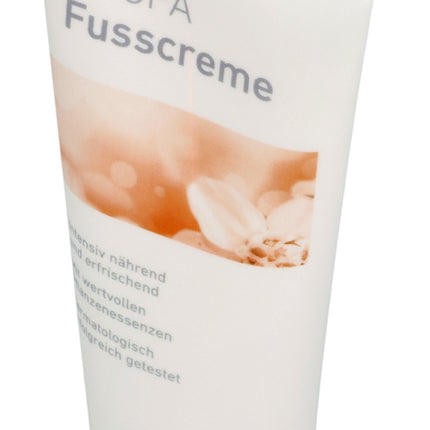 Spinner Image 1109029