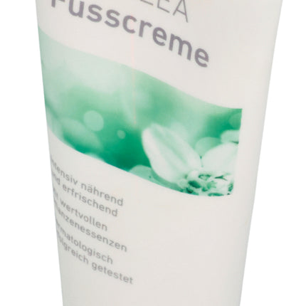 Spinner Image 1109028