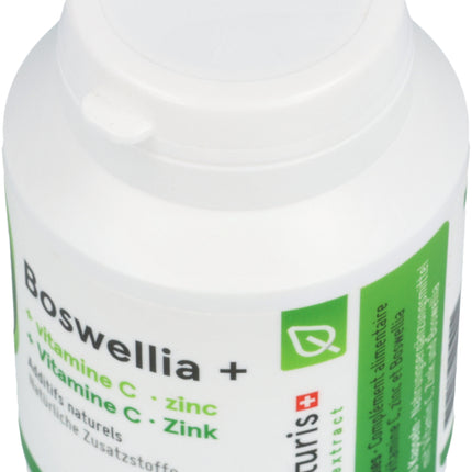 Spinner Image 1125214