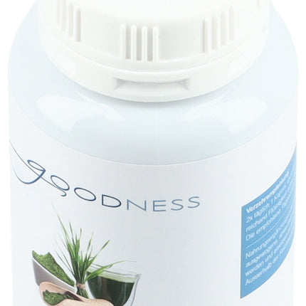 Spinner Image 7773466