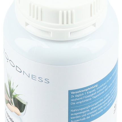 Spinner Image 7773466