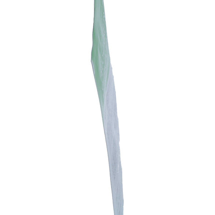 Spinner Image 7830799