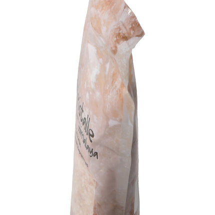 Spinner Image 6026153