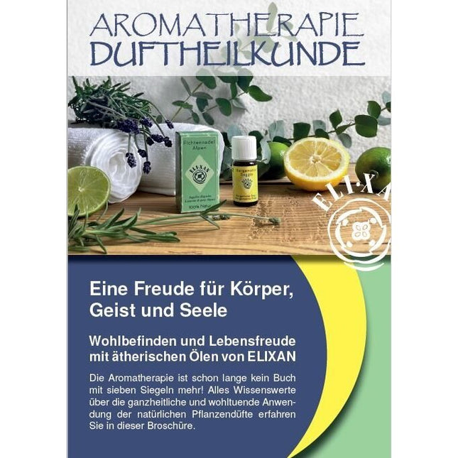 Article Image 1974394