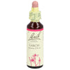 Bach-Blüten Original Larch No19 20 ml