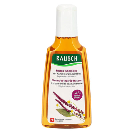 Article Image 1027651