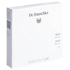 Article Image 1033141