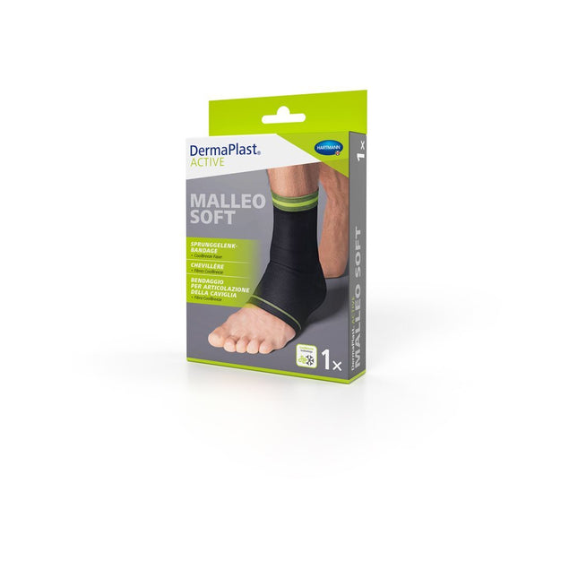 Article Image 7822244