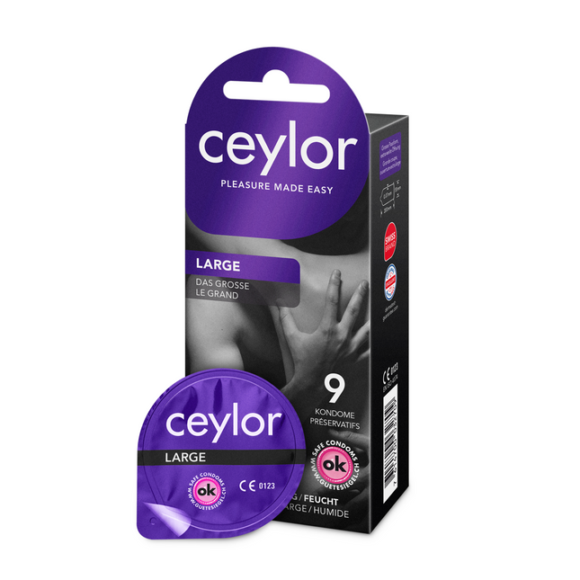 Article Image 7802542