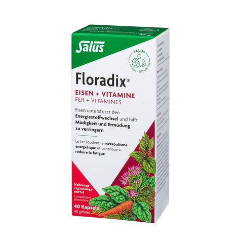 Floradix Eisen + Vitamine Kaps 40 Stk