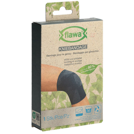 Article Image 1115736