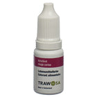 Article Image 4866825