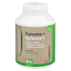 Article Image 1125216