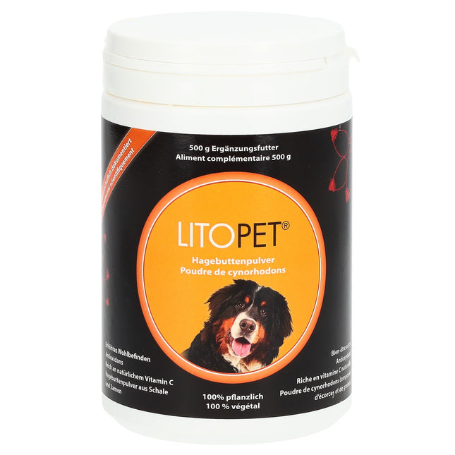 Article Image 7772436