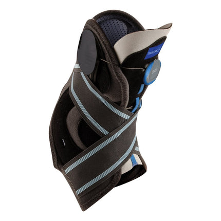 Article Image 7738557