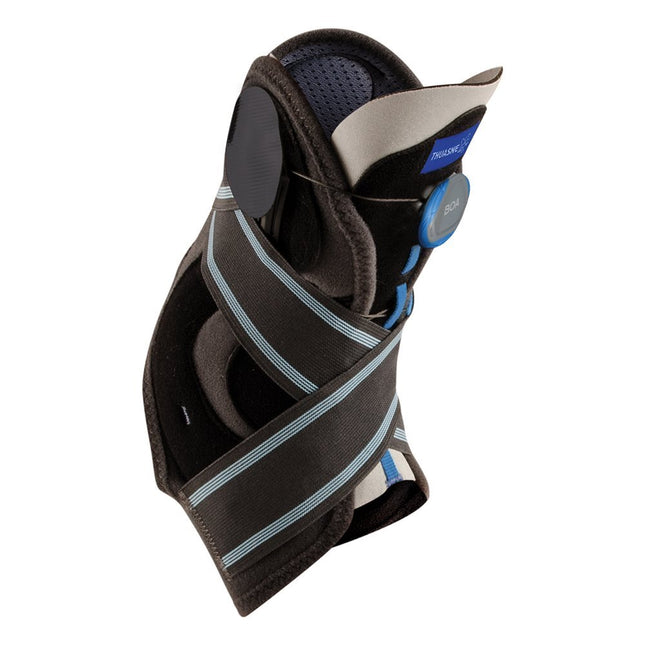 Article Image 7738557