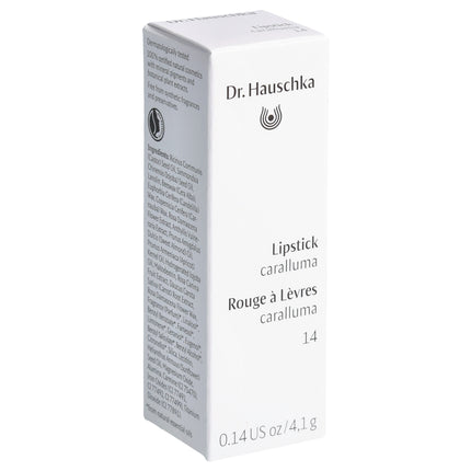 Article Image 1033185