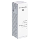 Article Image 1033185