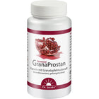 Article Image 4919272